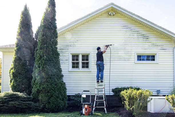 Roof Power Washing Services in Lucerne Valley, CA